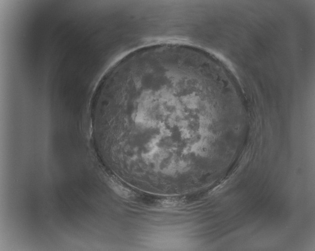 X0000072521271200607141148