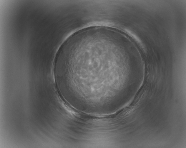 X0000072521272200607141148