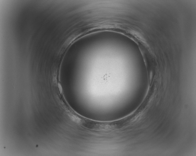 X0000072521273200607141148