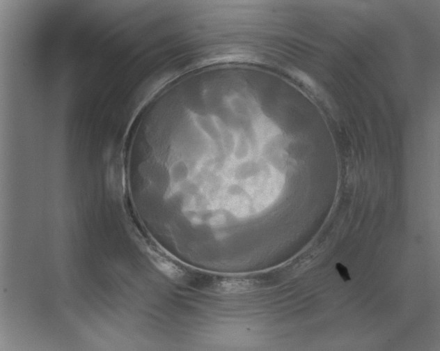 X0000072521274200607141148