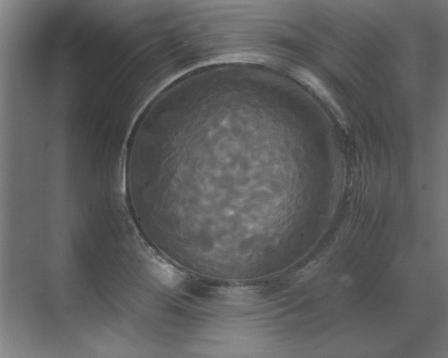 X0000072521276200607141148