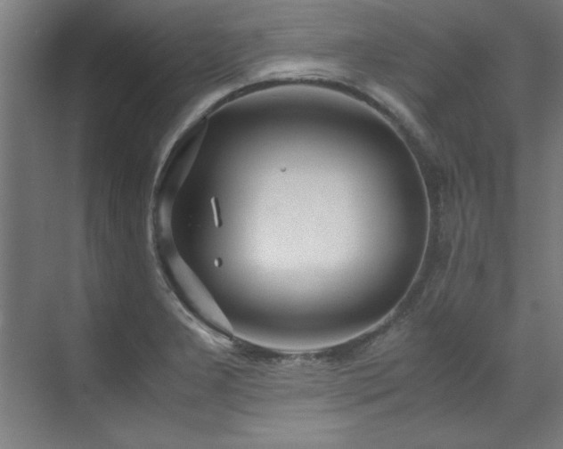 X0000072521277200607141148