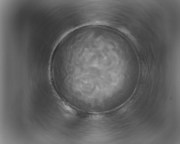 X0000072521278200607141148