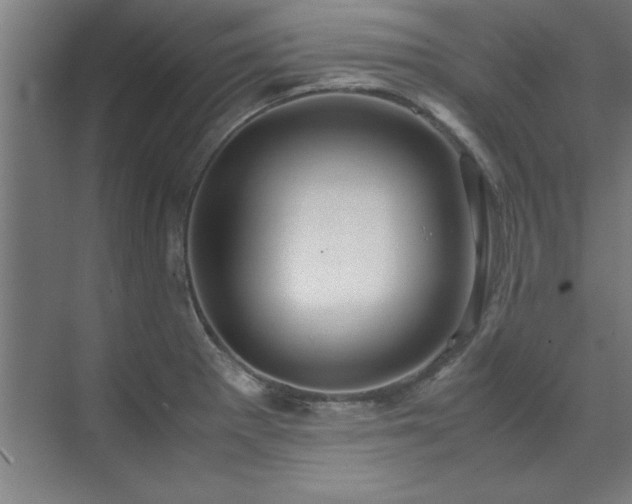 X0000072521281200607141148