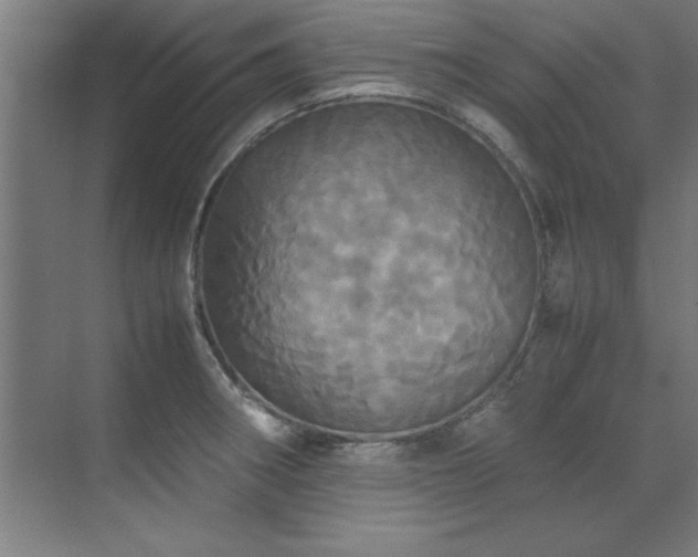 X0000072521282200607141148