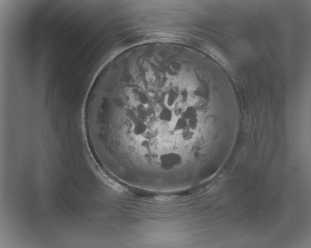 X0000072521283200607141148