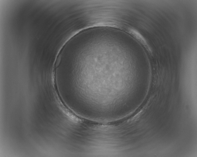 X0000072521284200607141148