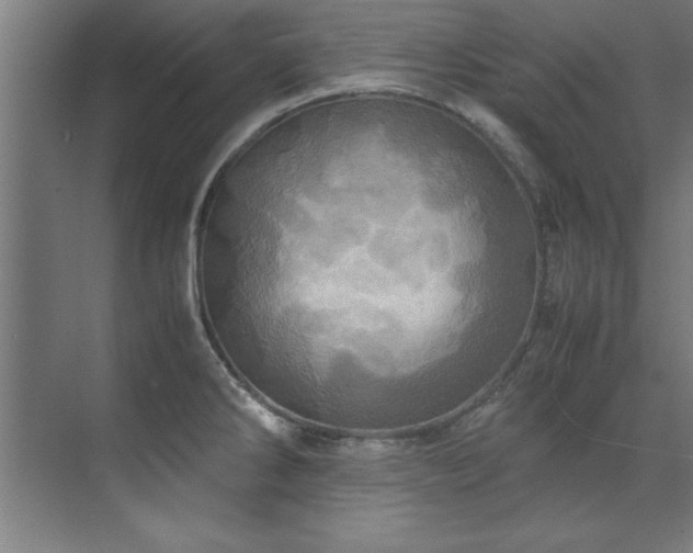 X0000072521286200607141148