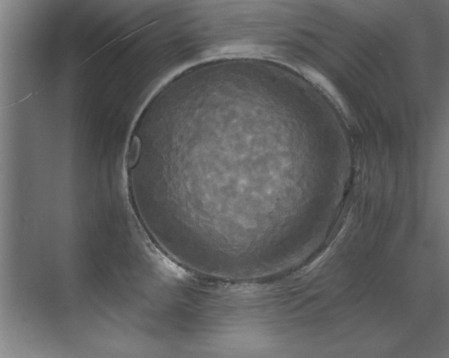 X0000072521288200607141148