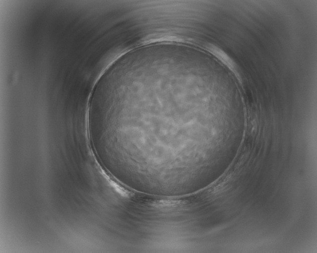 X0000072521290200607141148