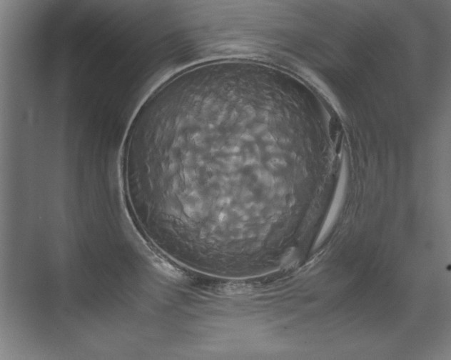 X0000072521291200607141148