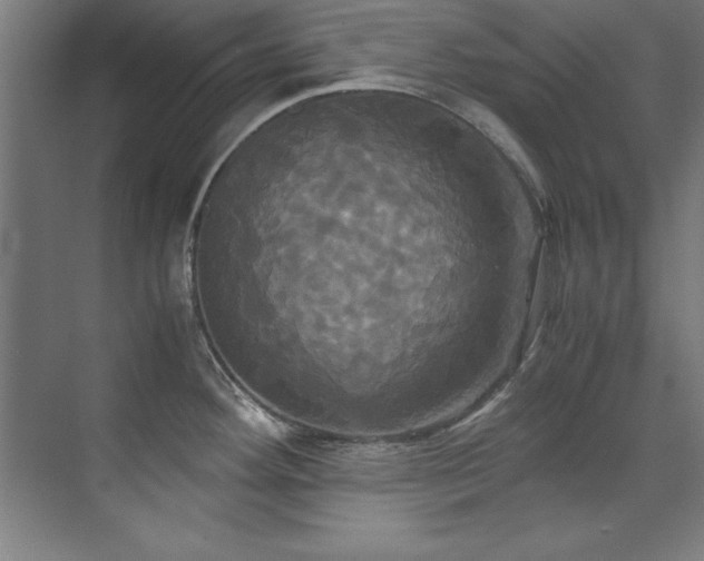 X0000072521292200607141148