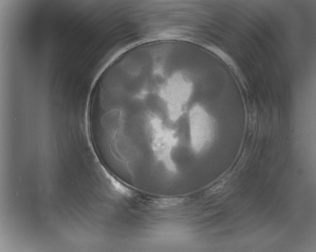 X0000072521294200607141148