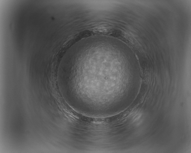 X0000072521297200607141147