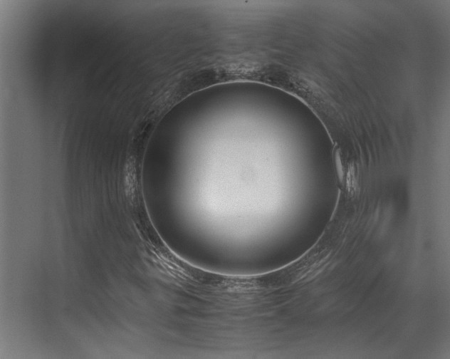 X0000072521299200607141147