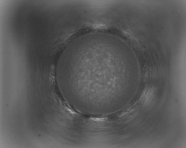 X0000072521301200607141147