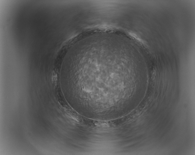 X0000072521302200607141147