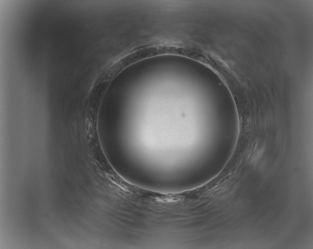 X0000072521303200607141147