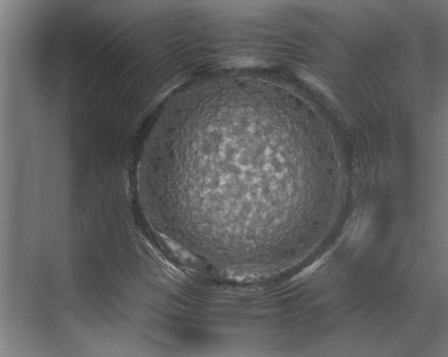 X0000072521305200607141147