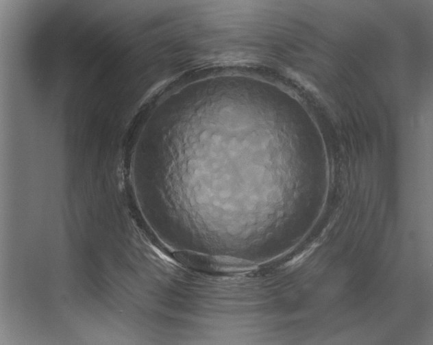 X0000072521306200607141147