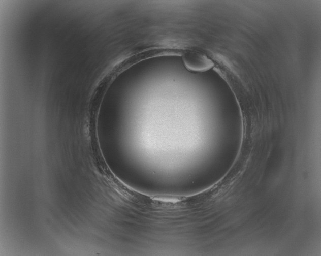 X0000072521307200607141147