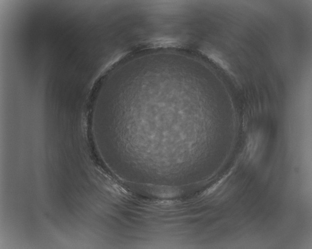 X0000072521309200607141147