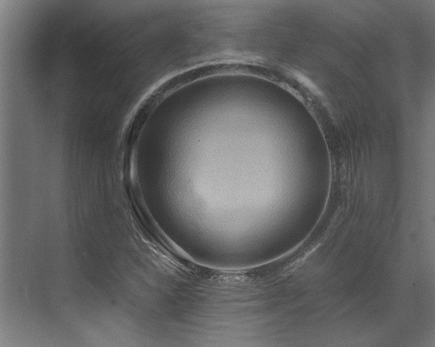 X0000072521310200607141147