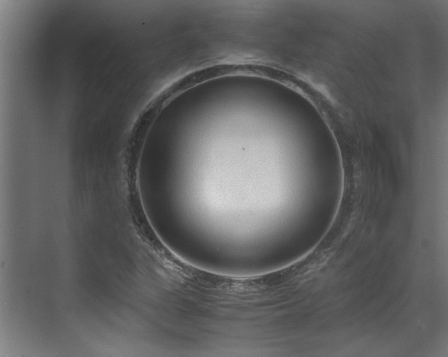 X0000072521311200607141147