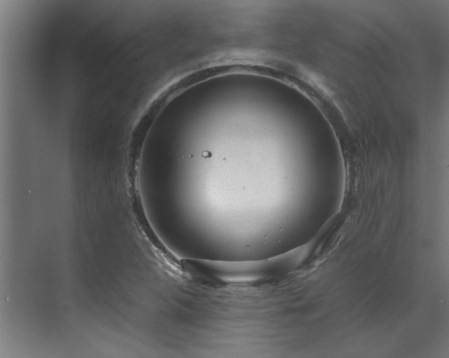 X0000072521312200607141147