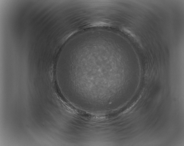 X0000072521313200607141147