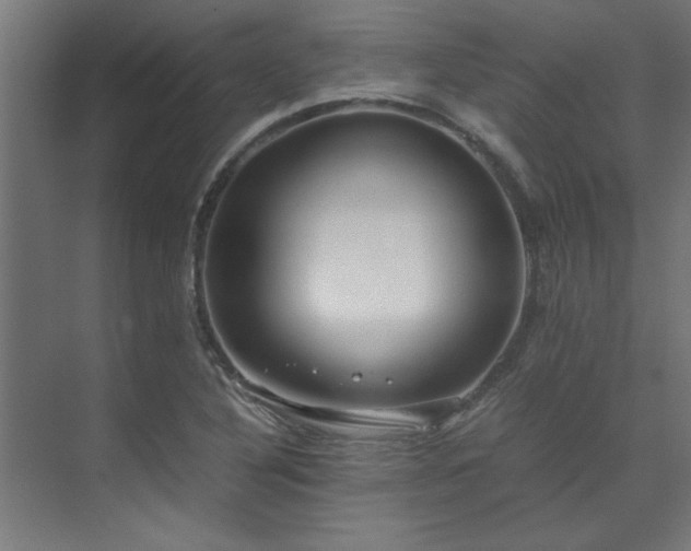 X0000072521316200607141147