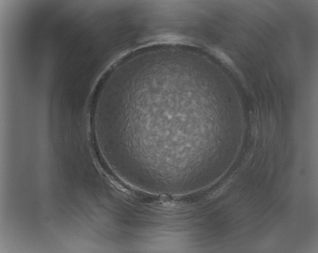 X0000072521318200607141148