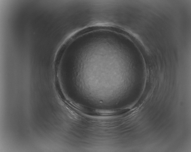 X0000072521319200607141148