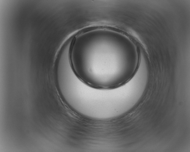 X0000072521320200607141148