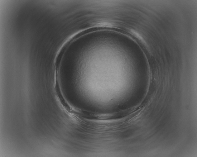 X0000072521323200607141148