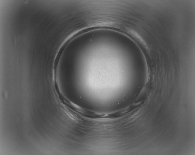 X0000072521324200607141148