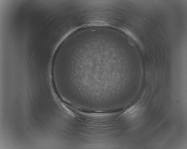 X0000072521325200607141148