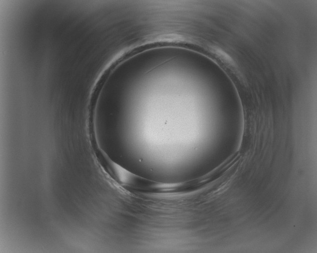 X0000072521326200607141148