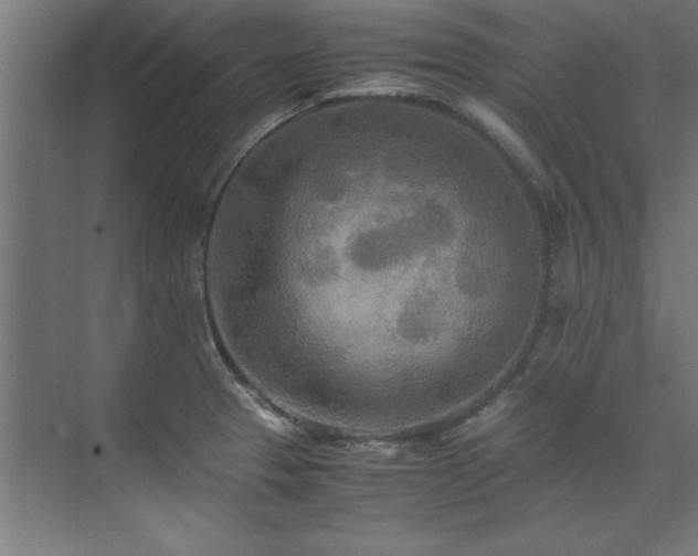 X0000072521329200607141148