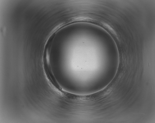 X0000072521330200607141148