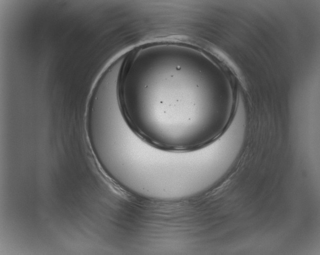 X0000072521332200607141148