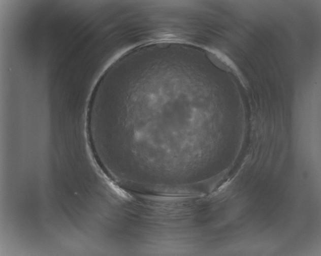 X0000072521333200607141148