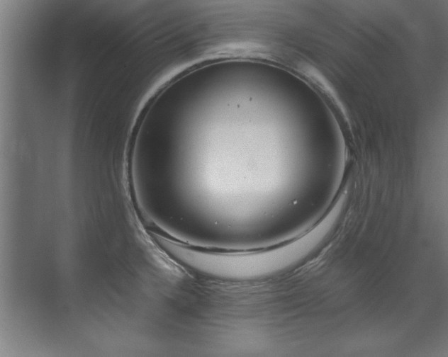 X0000072521336200607141148