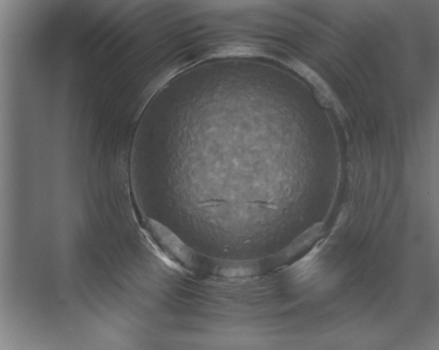 X0000072521337200607141148