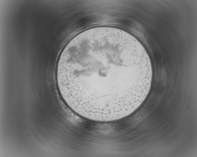 X0000072521338200607141148