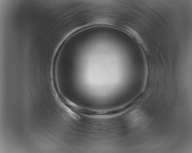 X0000072521339200607141148