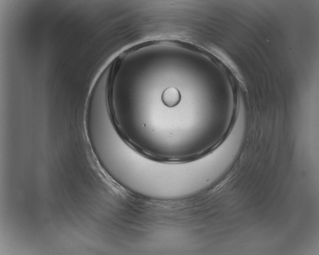 X0000072521340200607141148