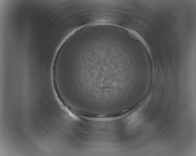 X0000072521341200607141148