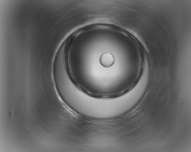 X0000072521342200607141148