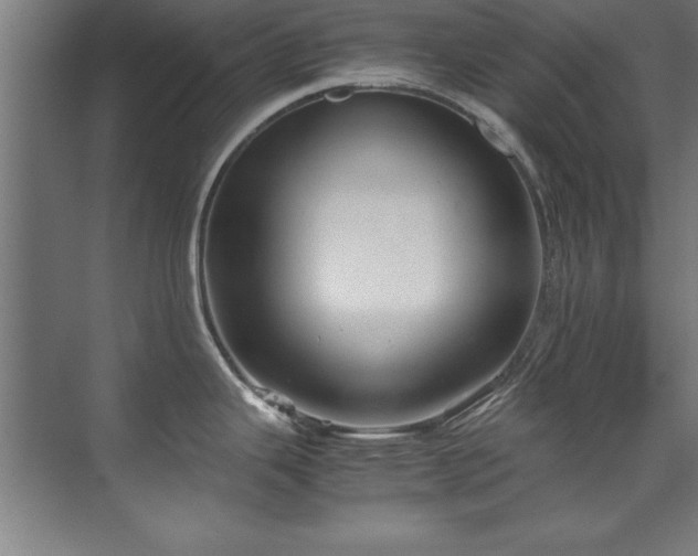 X0000072521343200607141148